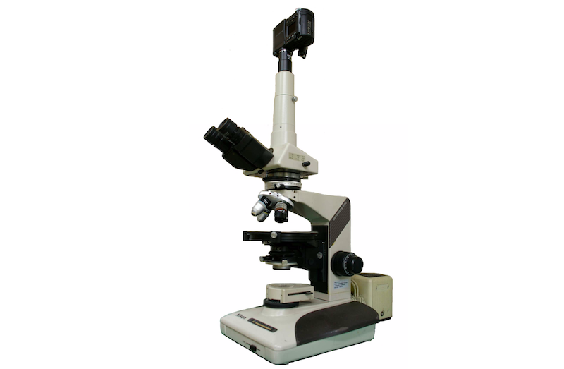 偏光顕微鏡観察